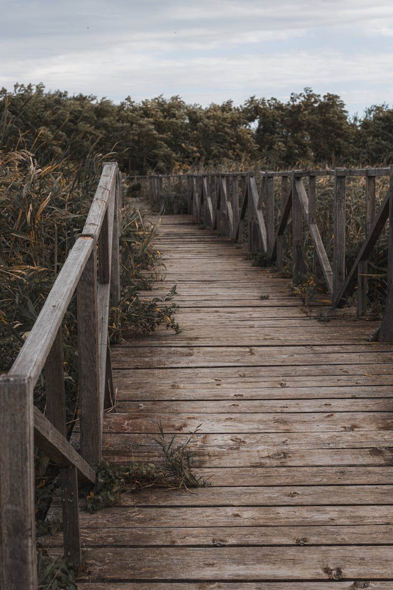 A rustic wooden bridge leads into lush greenery, capturing the tranquil beauty of nature.
